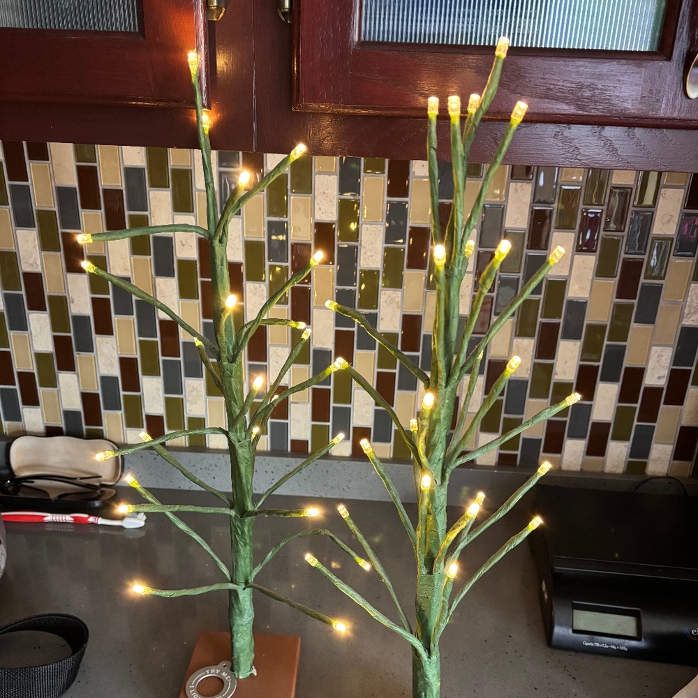 2 wrapped birch trees with LED lights